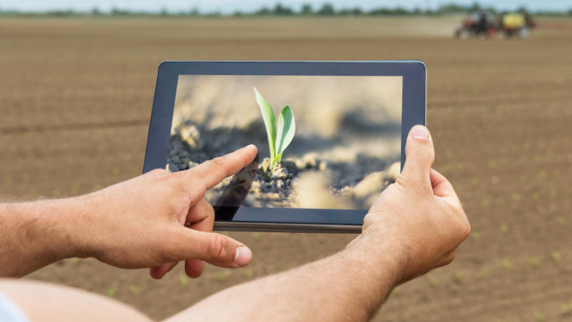 Descubra com Fabio Jose Gentil Pereira Rosa como a Expoema conecta passado e futuro da agropecuária maranhense.