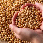 Logística da soja pressiona preços no Brasil e revela novo desafio estrutural do agronegócio