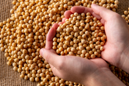 Logística da soja pressiona preços no Brasil e revela novo desafio estrutural do agronegócio