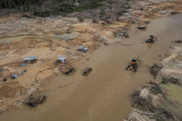 Preservação Ambiental e a Asfixia Logística Estratégica do Garimpo Ilegal em Terras Indígenas